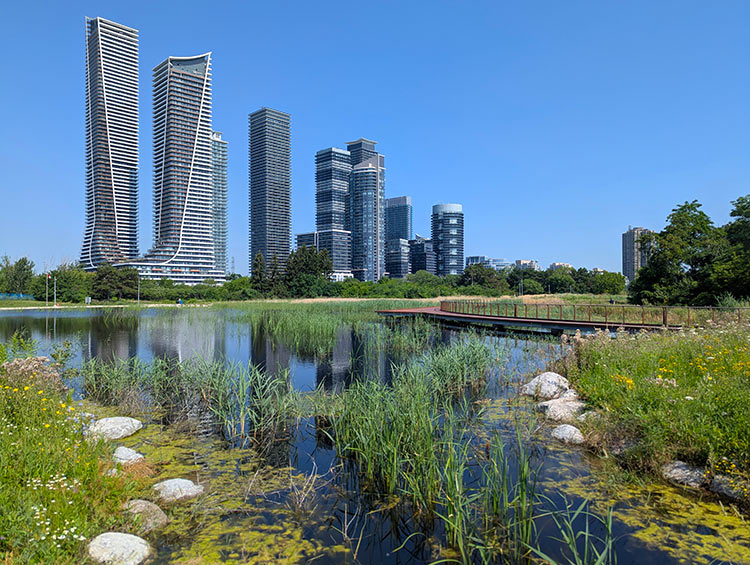 HBPE-wetland