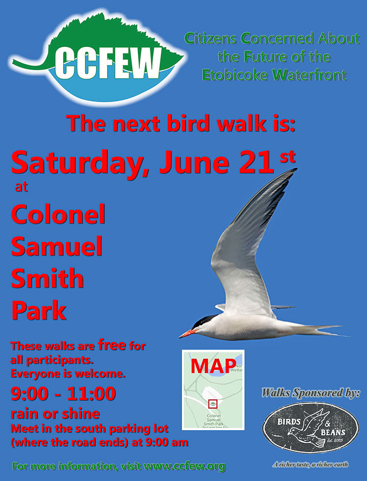 June-2025-Bird-Walk-Poster-Rev1