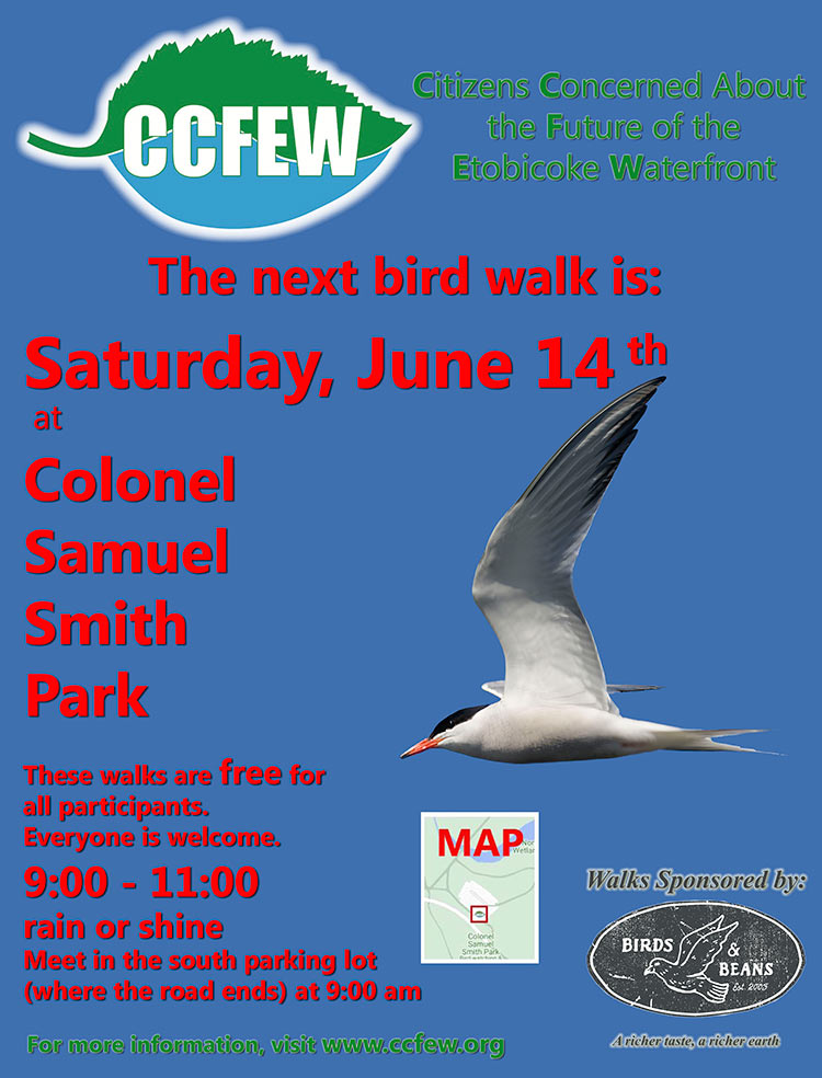 June-2025-Bird-Walk-Poster