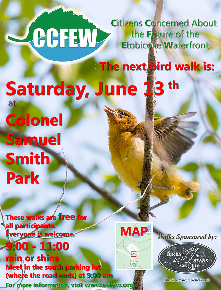 June-2026-Bird-Walk-Poster
