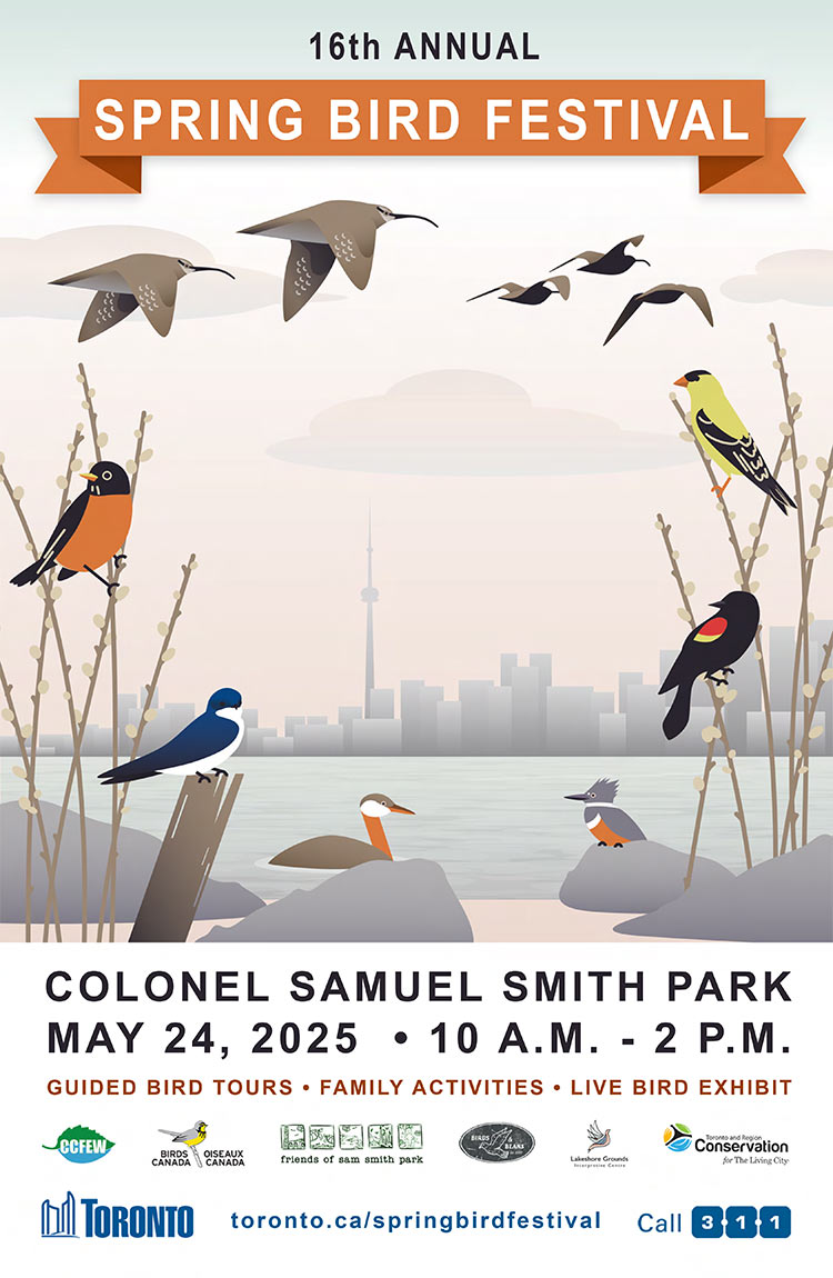 Spring-Bird-Festival-Poster