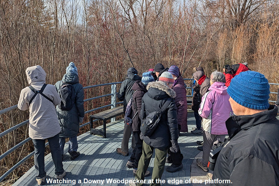 PXL_20260328_133040066